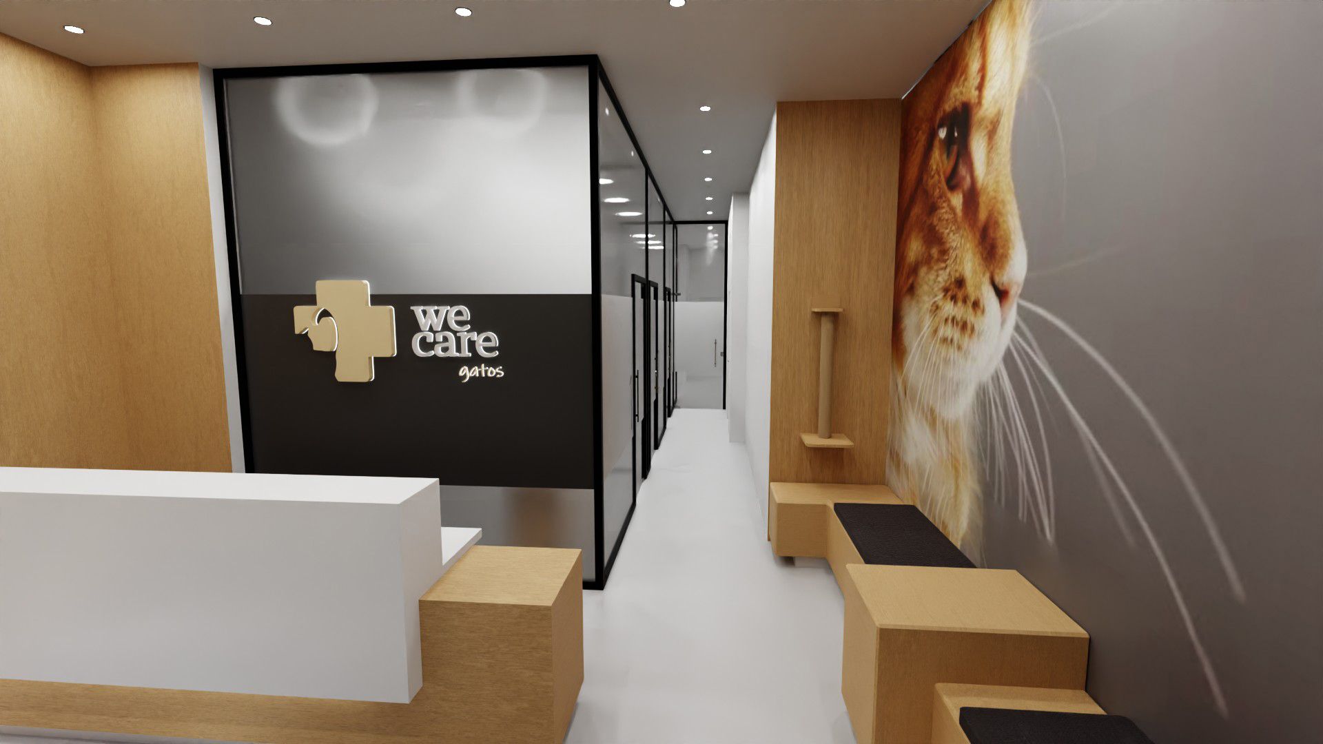 Receção e corredor da WeCare, com o logótipo na parede de vidro, consultórios com divisórias de vidro, banco de madeira e uma grande fotografia de um gato na parede lateral.